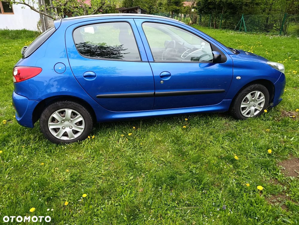 Peugeot 206 plus - 6