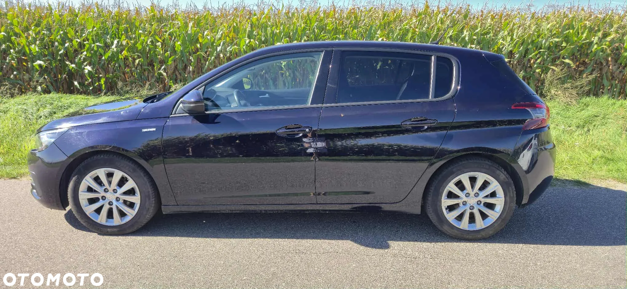 Peugeot 308 1.5 BlueHDi Access S&S - 2