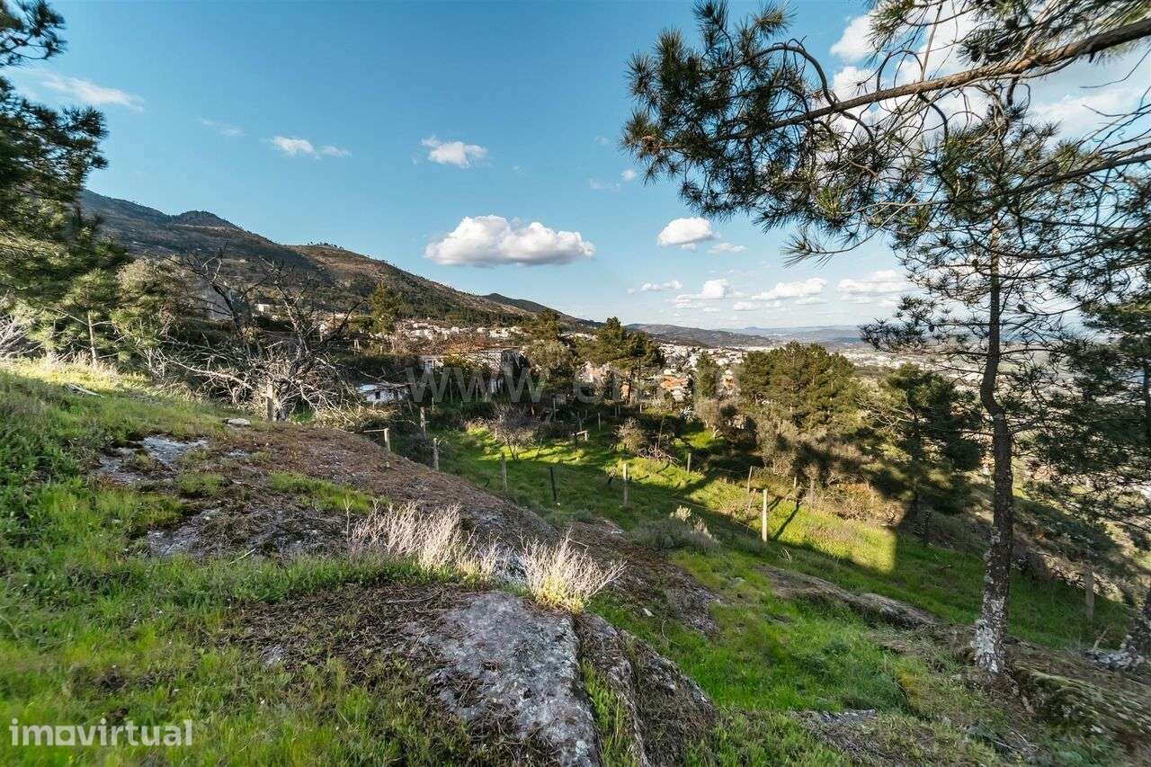 Quinta T3 / Covilhã, Cantar - Galo - Grande imagem: 2/20