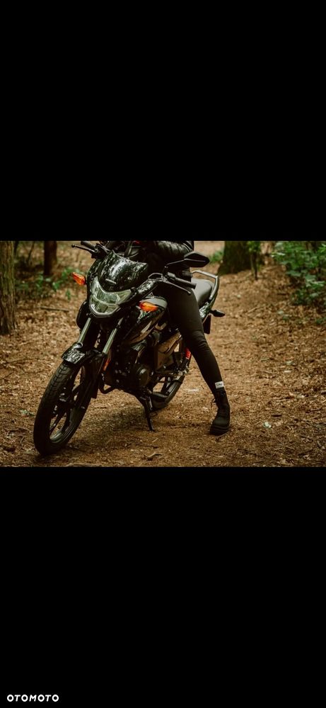 Honda CBF - 3