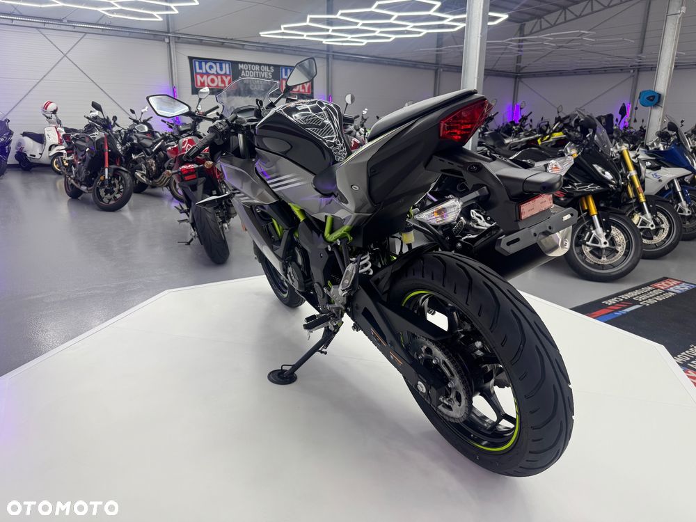 Kawasaki Ninja - 37