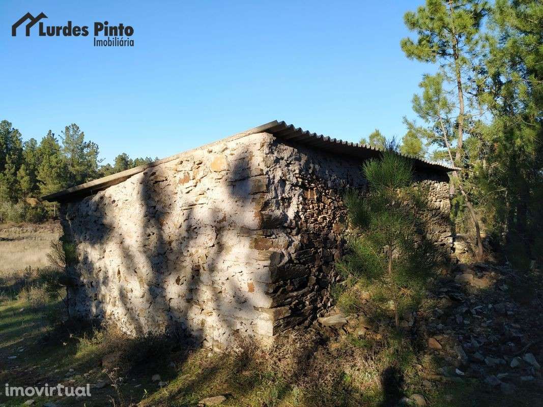 Quinta com arrecadação e muita água - Grande imagem: 5/15