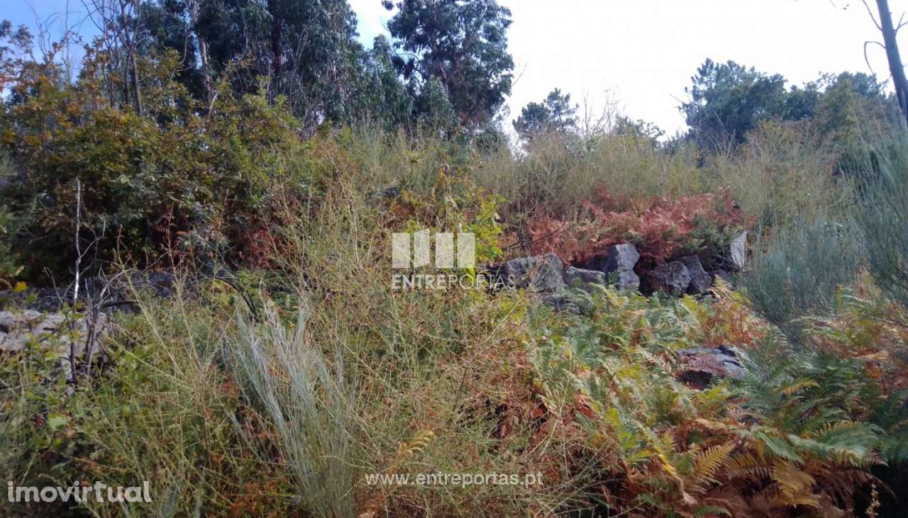 Venda Terreno com viabilidade de construção, Cinfães - Grande imagem: 5/26