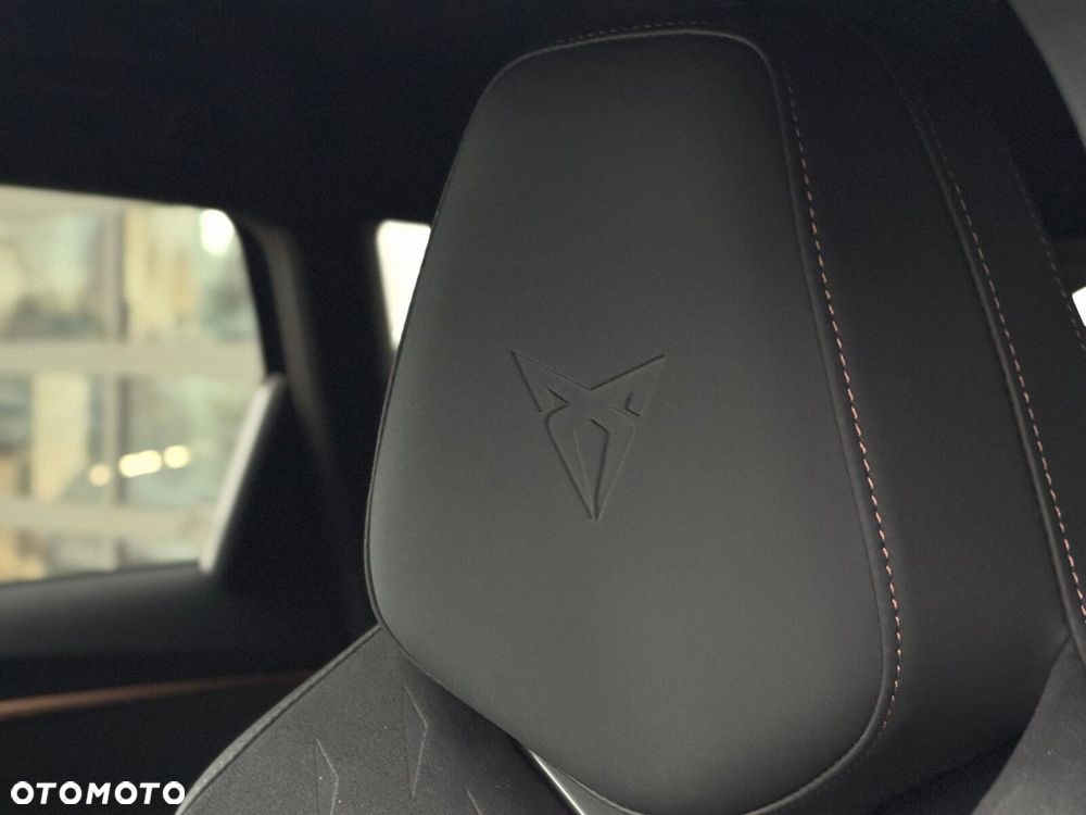 Cupra Terramar - 15