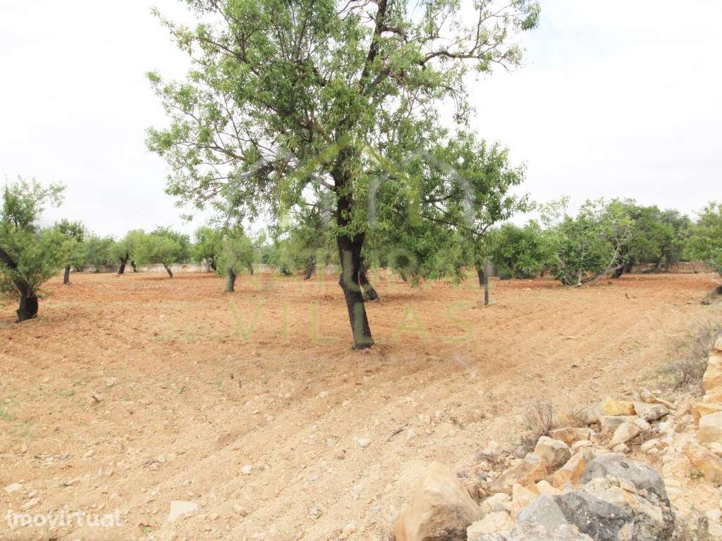 Terreno Urbano para construção em Estoi - Grande imagem: 3/3