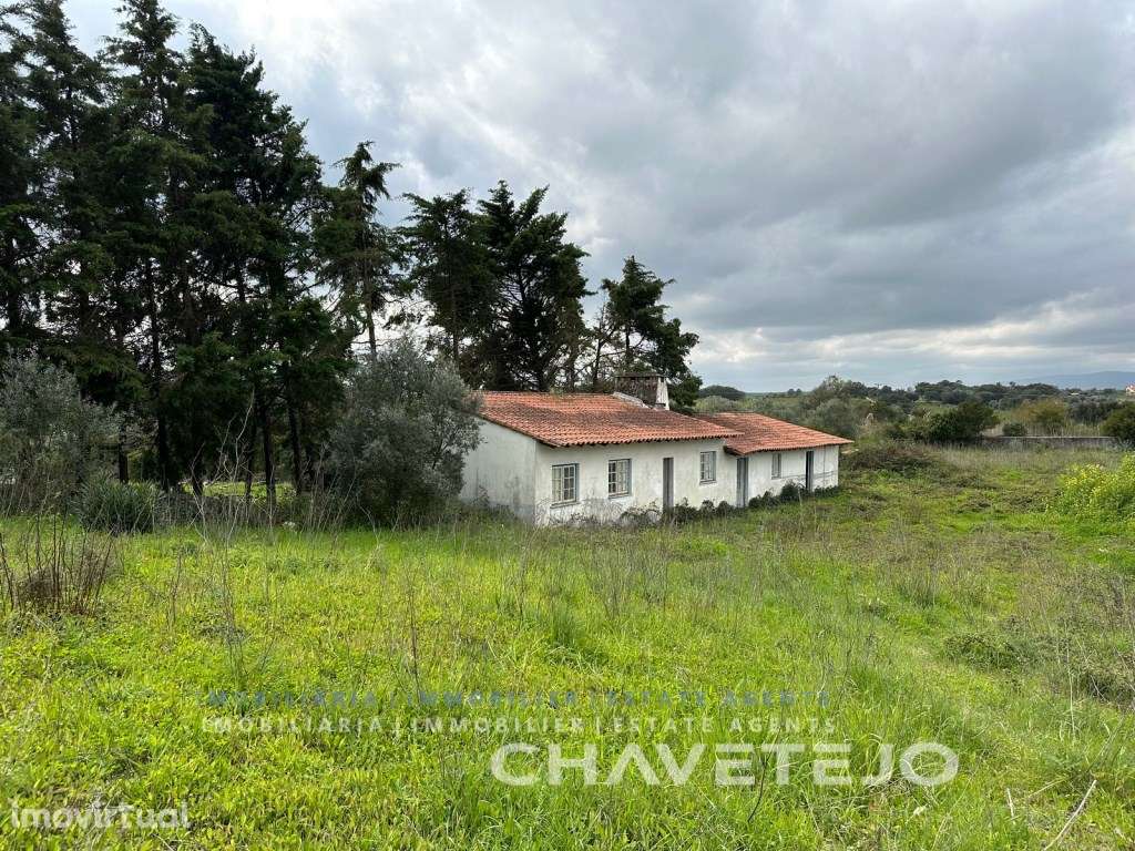 Oportunidade! Antigo Lagar para renovação ou investimento! - Grande imagem: 3/37