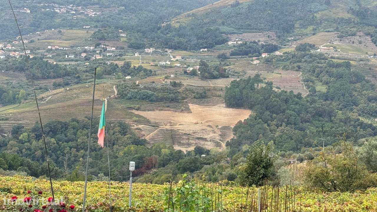 Quinta do Prado em Moura Morta, Régua - Grande imagem: 3/37