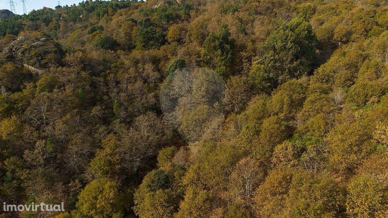 Terreno  para venda - Grande imagem: 3/13