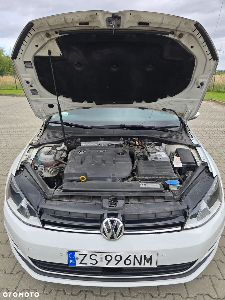 Volkswagen Golf 1.6 TDI BlueMotion Technology DSG Comfortline - 28
