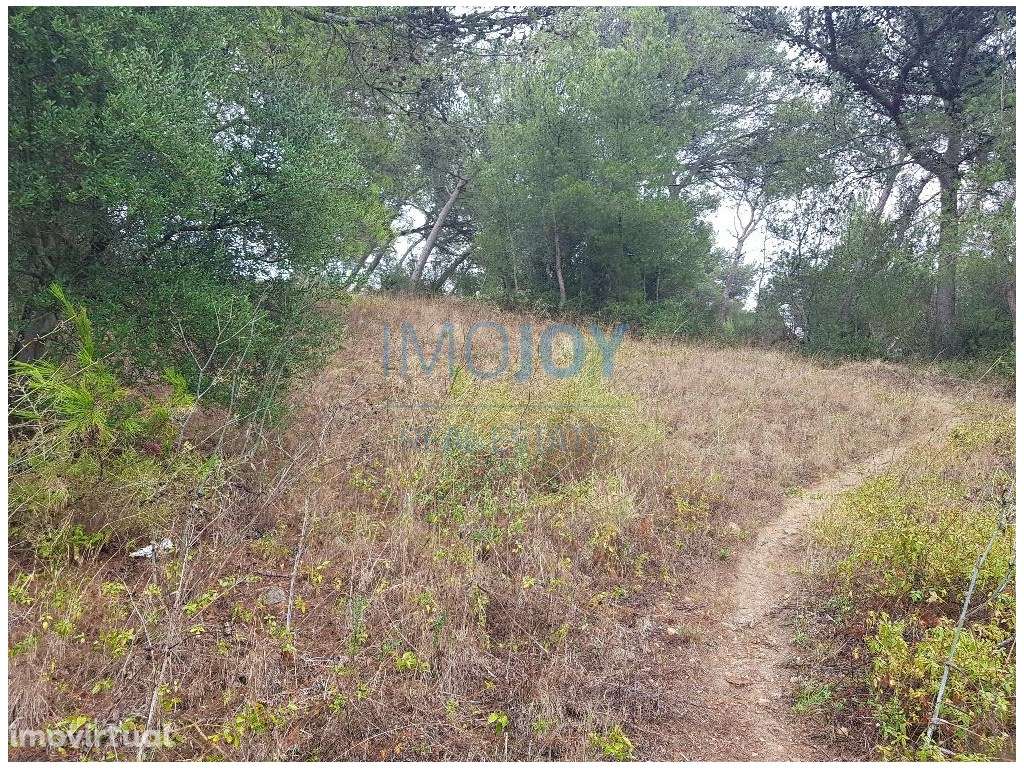 Terreno com PIP Aprovado para Lar de Idosos - Grande imagem: 5/12