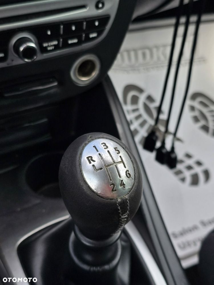 Renault Megane - 30