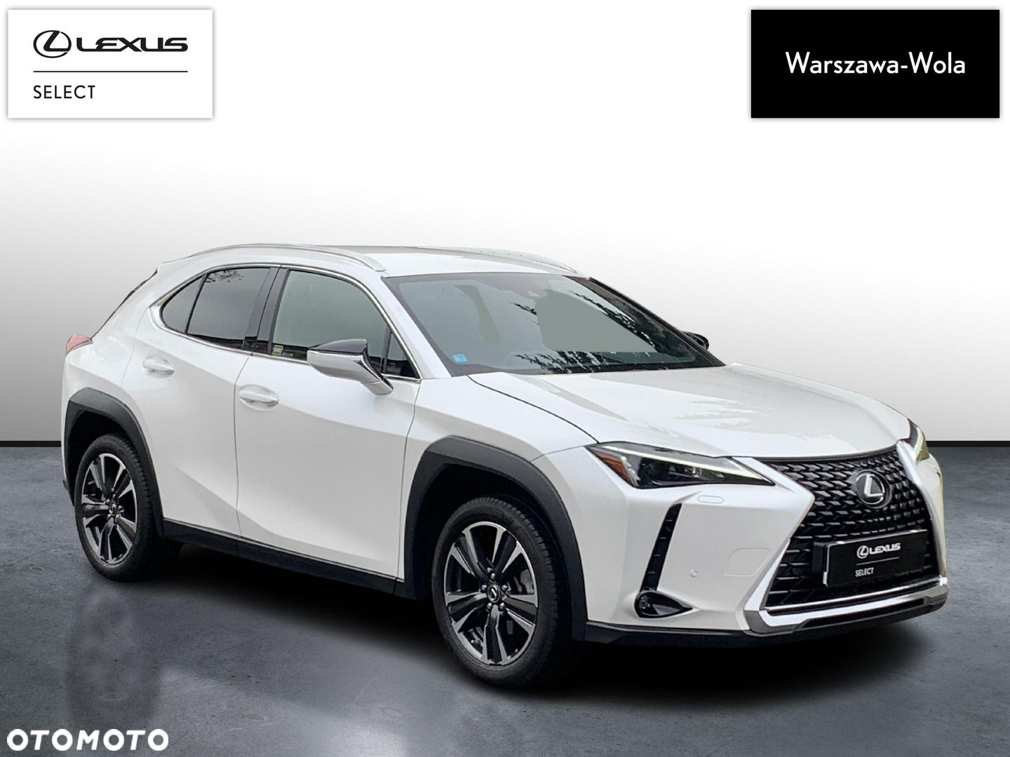 Lexus UX 250h GPF Business 2WD - 9
