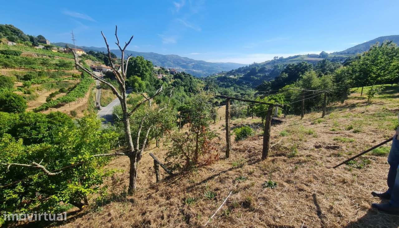 Venda Terreno, Santa Marinha do Zêzere, Baião - Grande imagem: 5/30