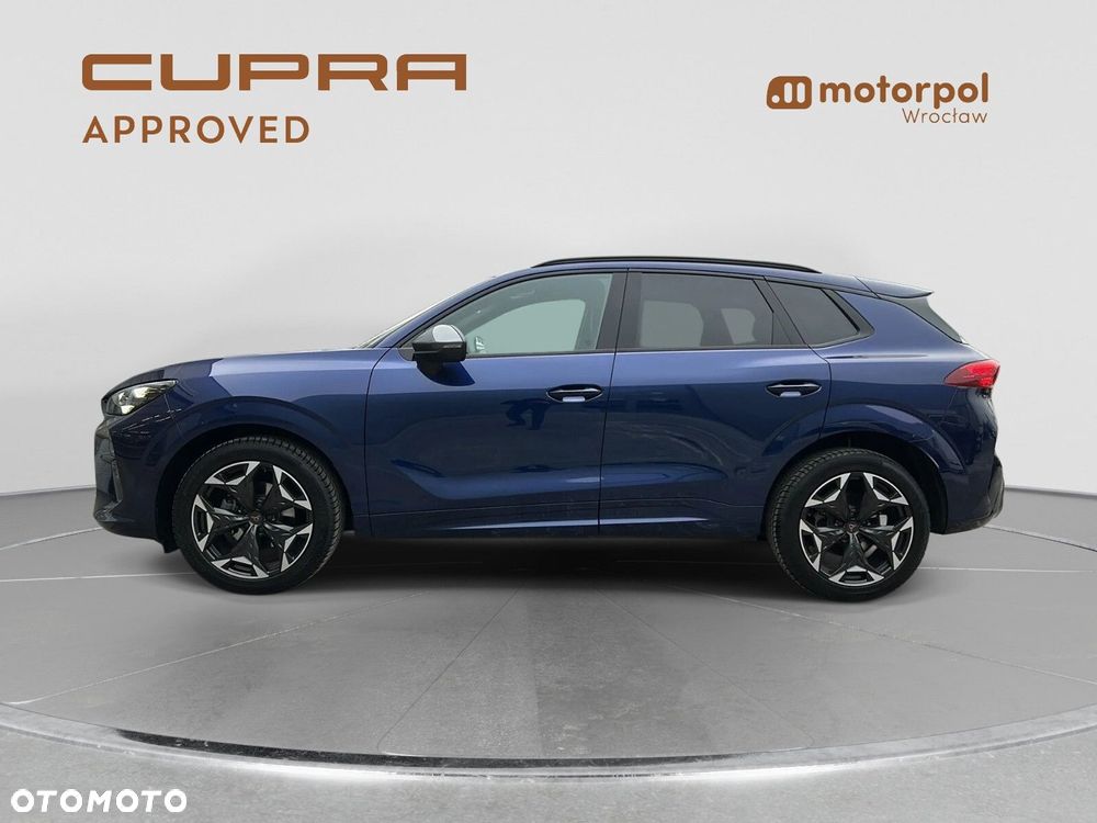 Cupra Terramar - 4