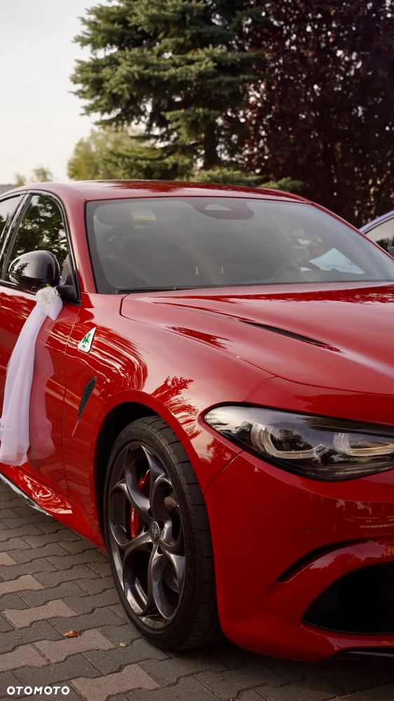 Alfa Romeo Giulia - 15