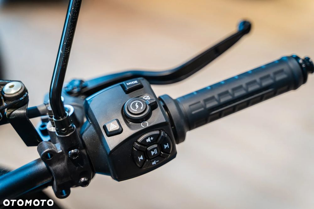 Harley-Davidson Pan America - 9