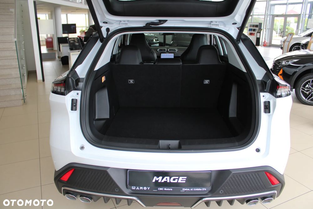 Dongfeng Mage - 6