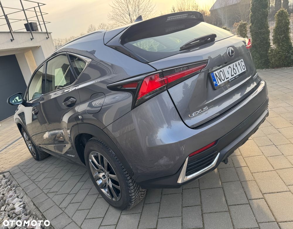 Lexus NX 300 Elegance Optimum AWD - 7