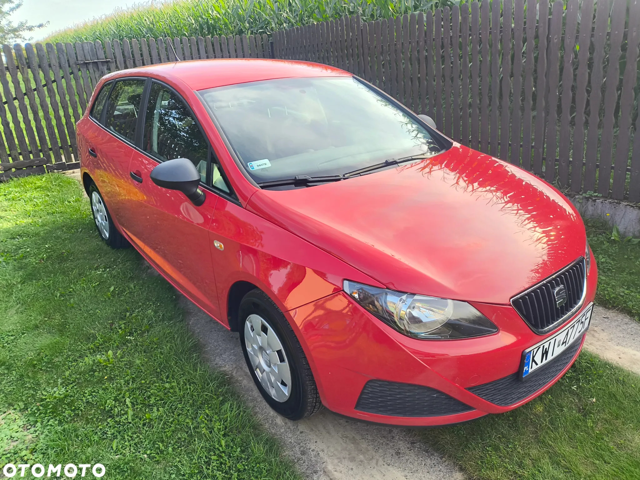 Seat Ibiza - 13
