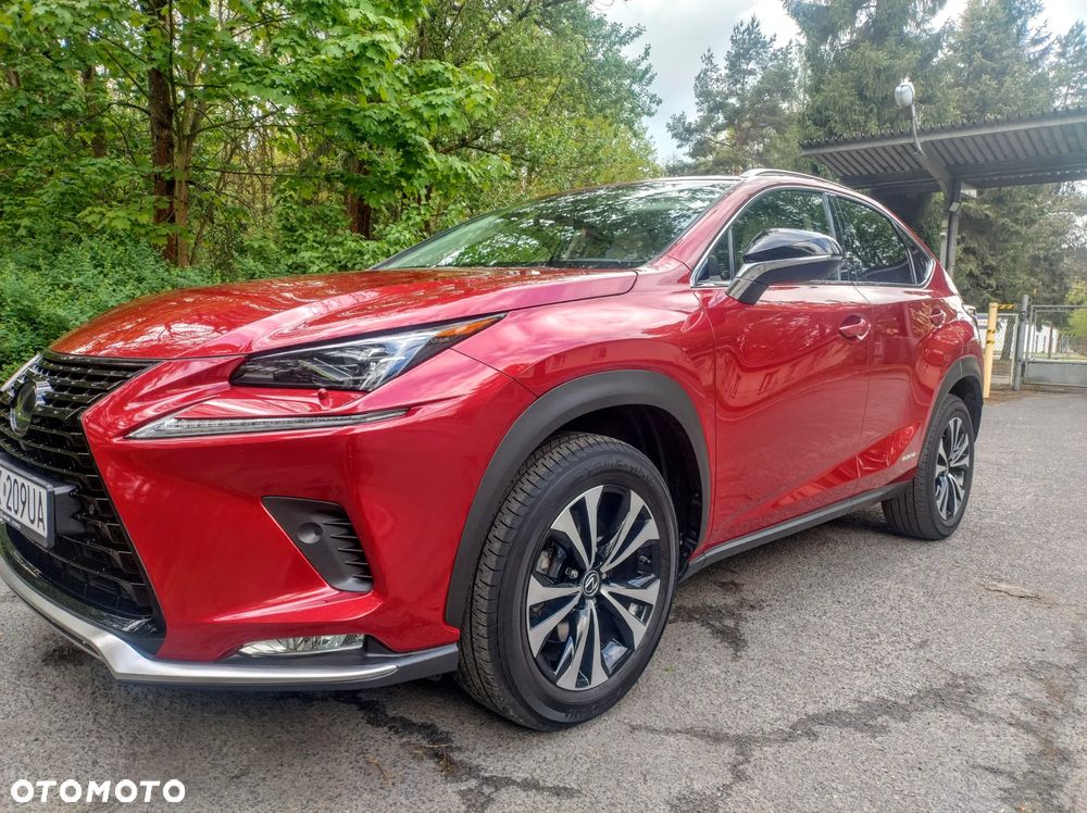 Lexus NX 300h F Impression AWD - 5