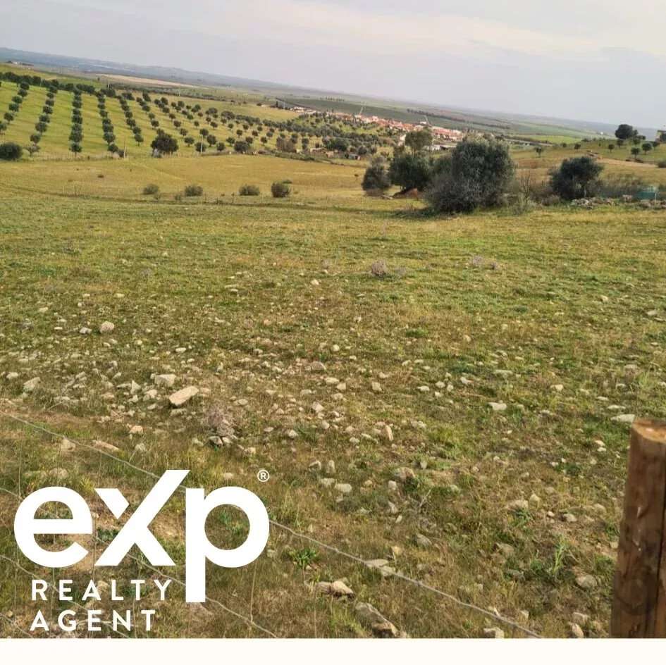 Terreno rustico Baixo Alentejo 4.1 hectares - Grande imagem: 5/9