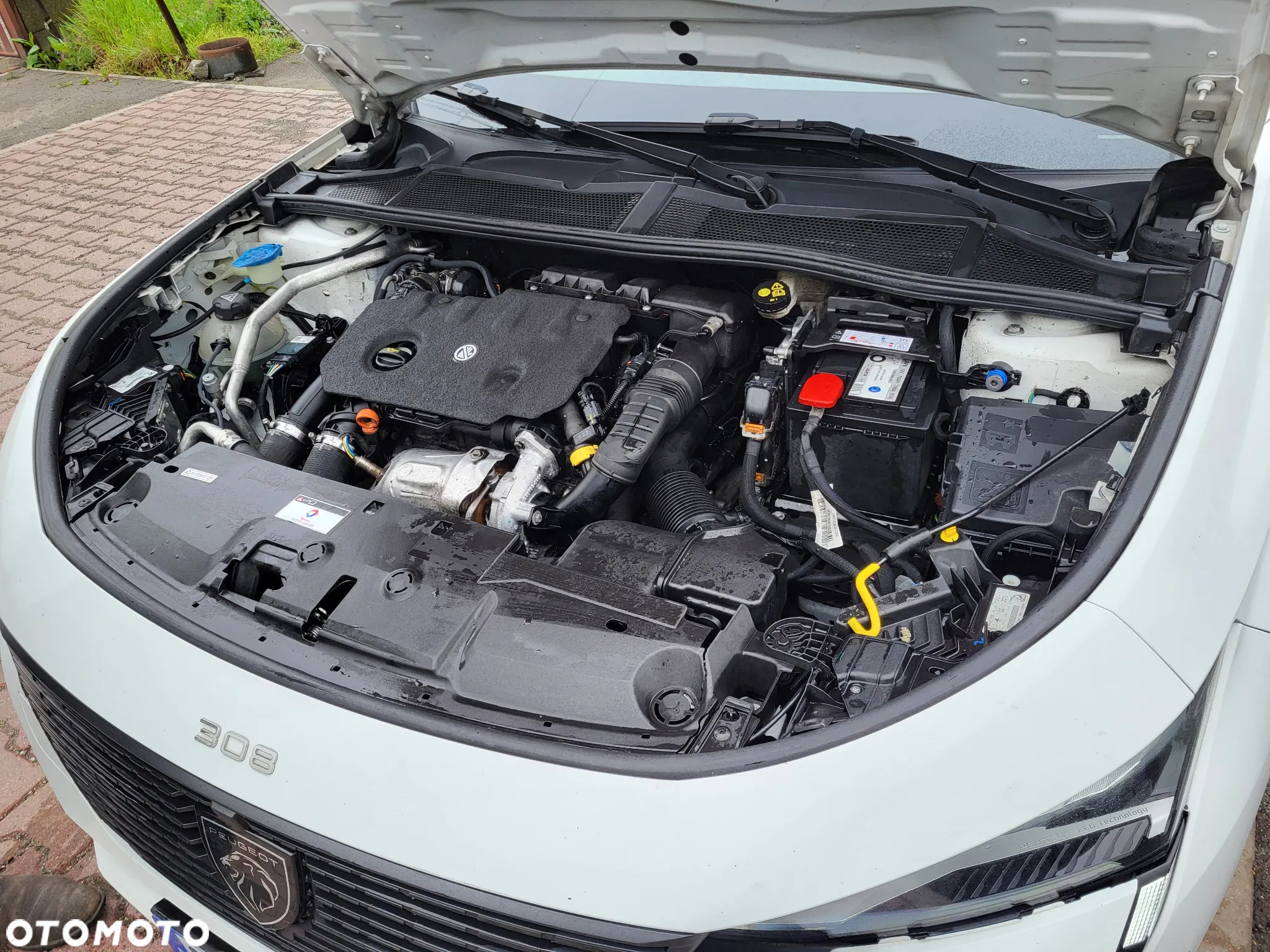 Peugeot 308 1.5 BlueHDi Active Pack Business S&S EAT8 - 29