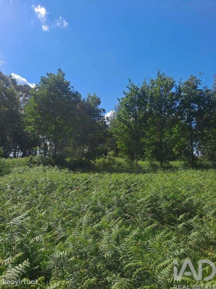 Terreno Agrícola em Bustelo - Grande imagem: 2/12