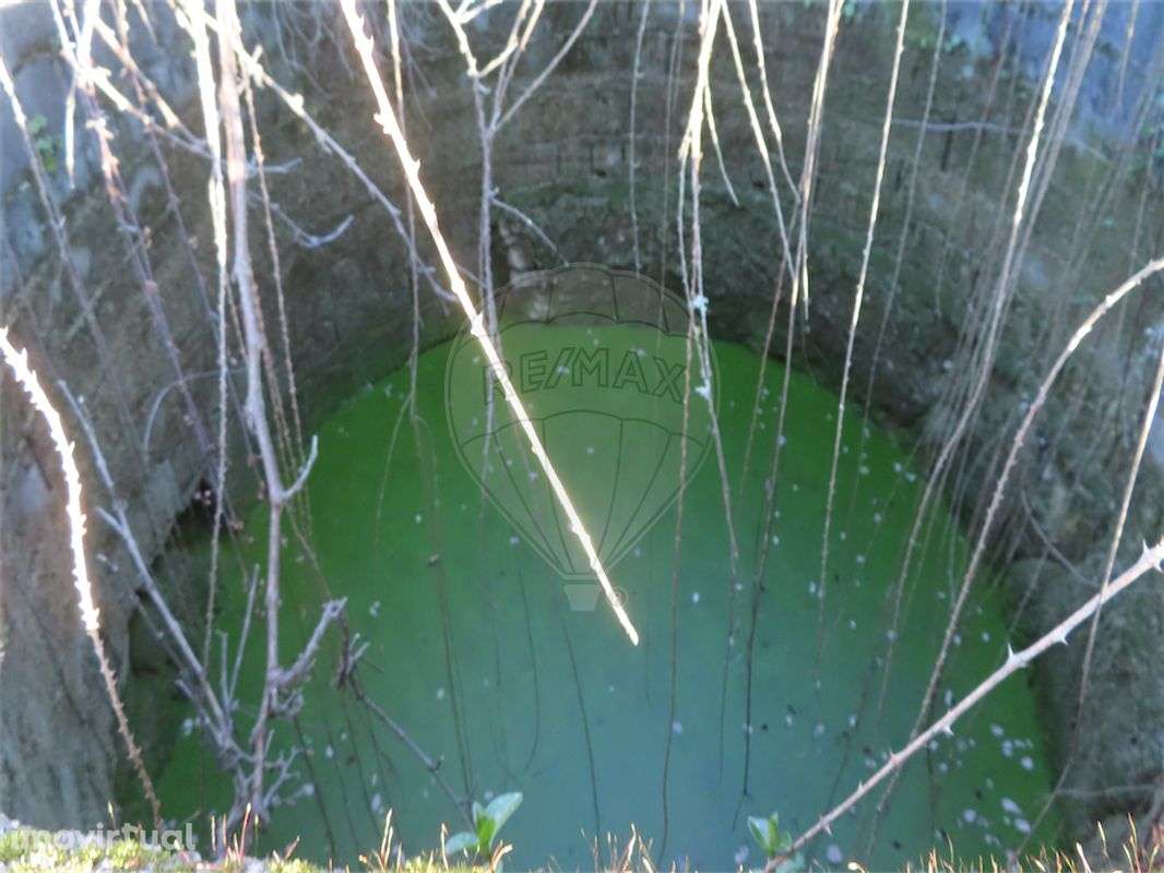 Quinta  para venda - Grande imagem: 3/21