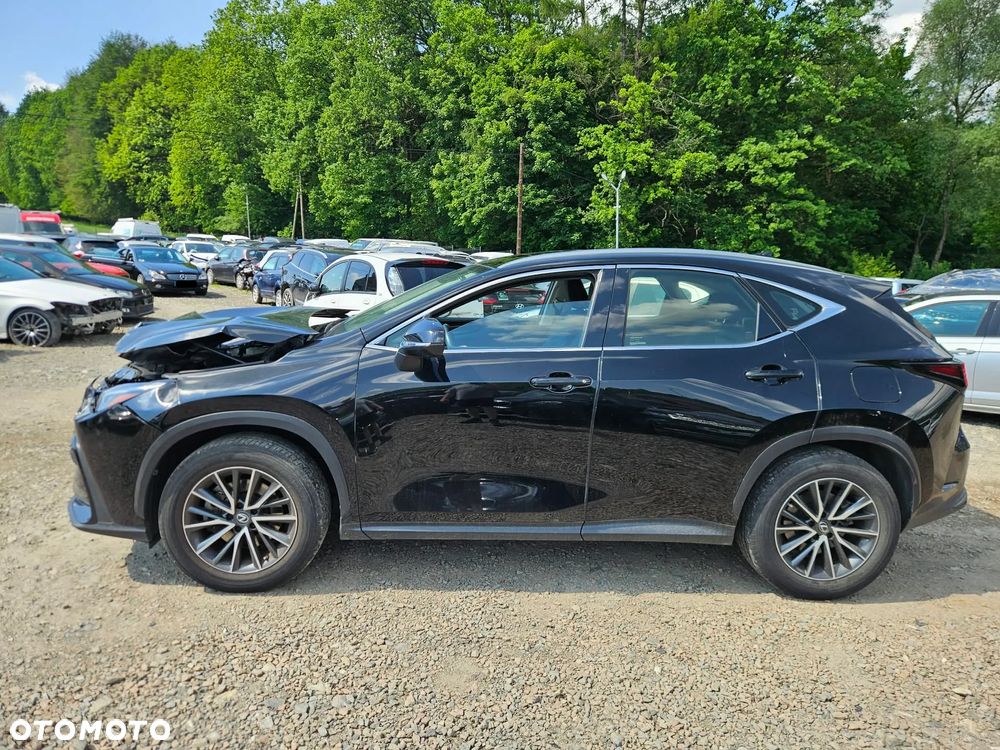 Lexus NX 350h Executive - 5