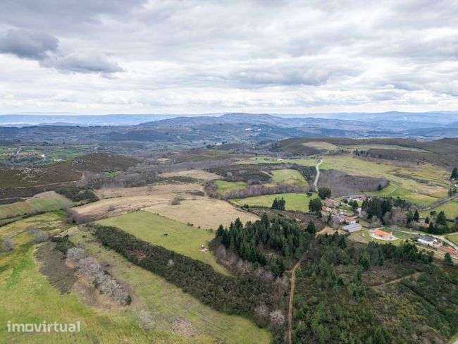 Fantástico terreno Agrícola - Chã, Montalegre - Grande imagem: 3/9