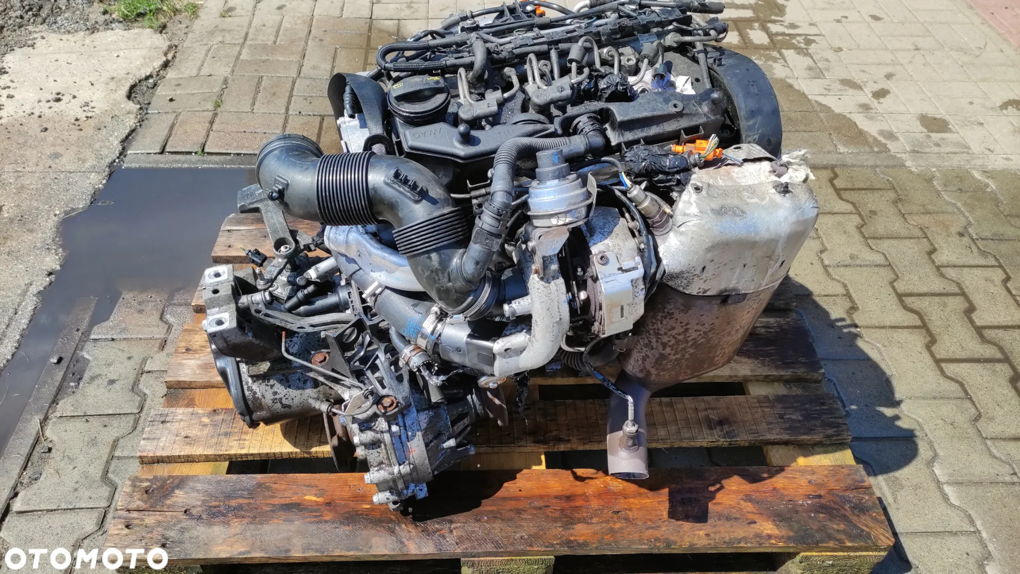 Silnik VW Caddy Audi 1.6 diesel kod: CAYD - 16