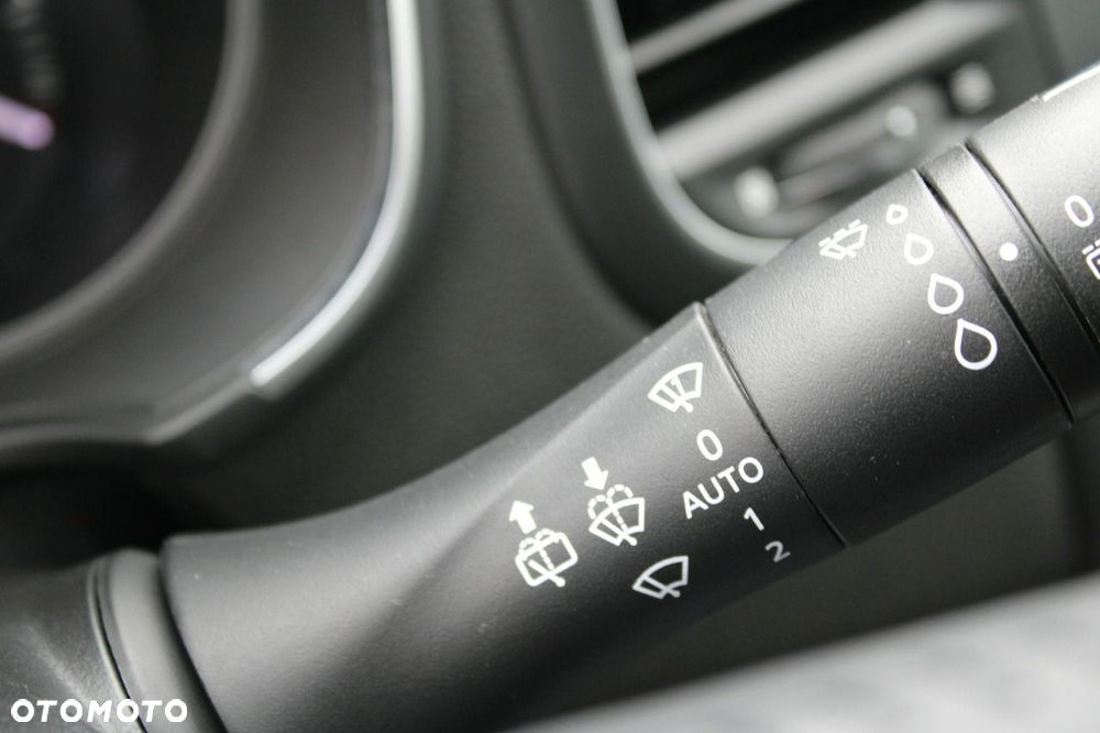Renault Megane - 24