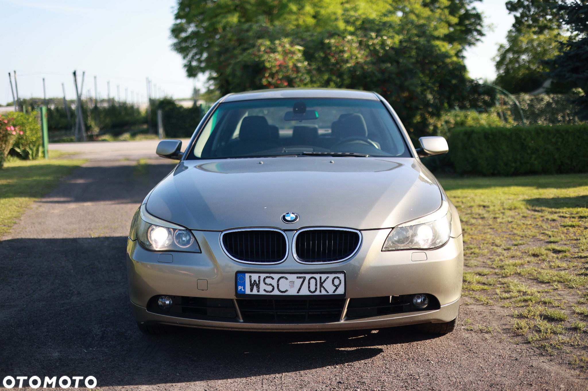 BMW Seria 5 525i - 5