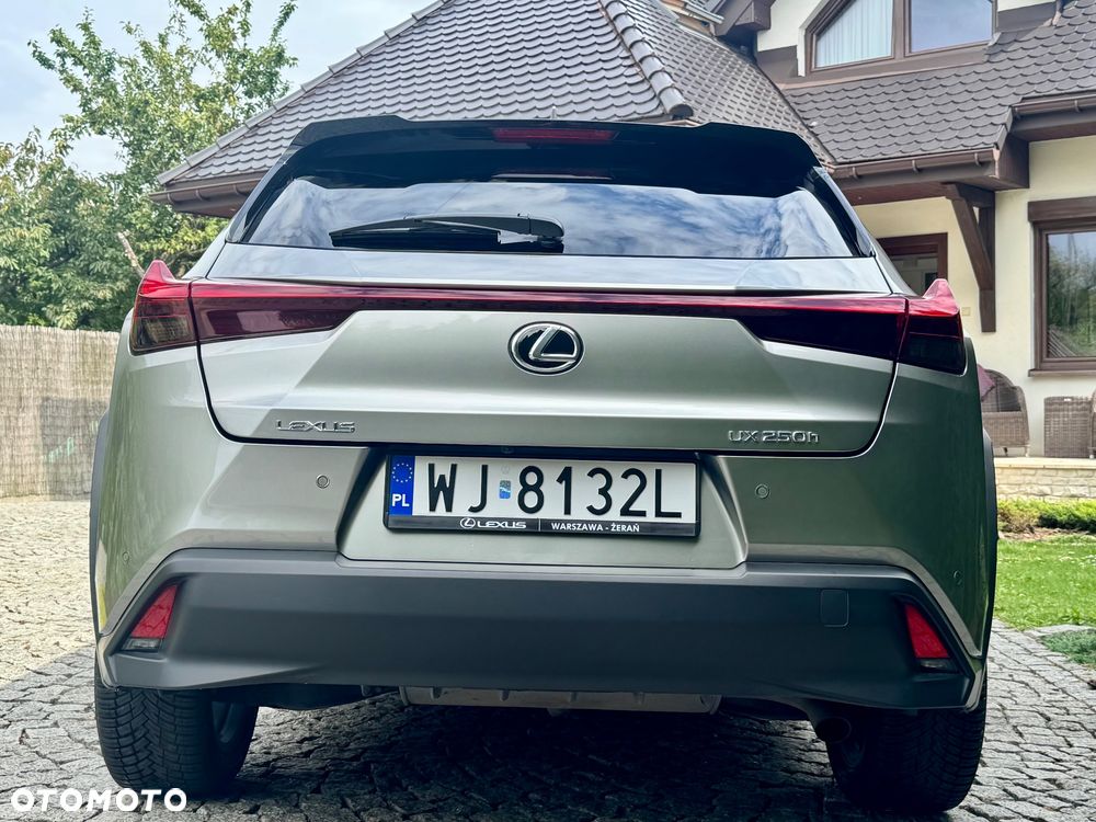 Lexus UX 250h F Sport 2WD - 7
