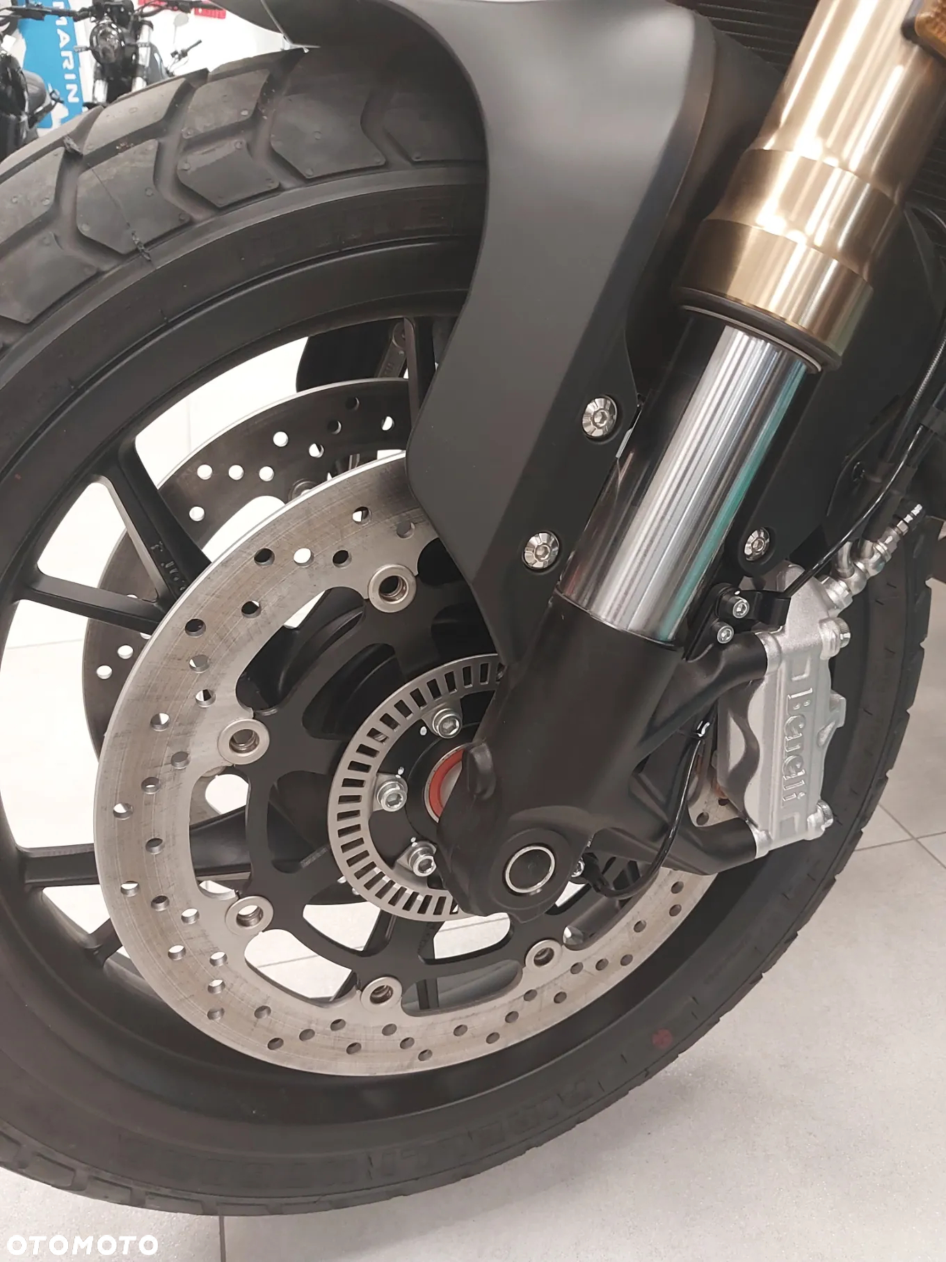 Benelli Leoncino - 8