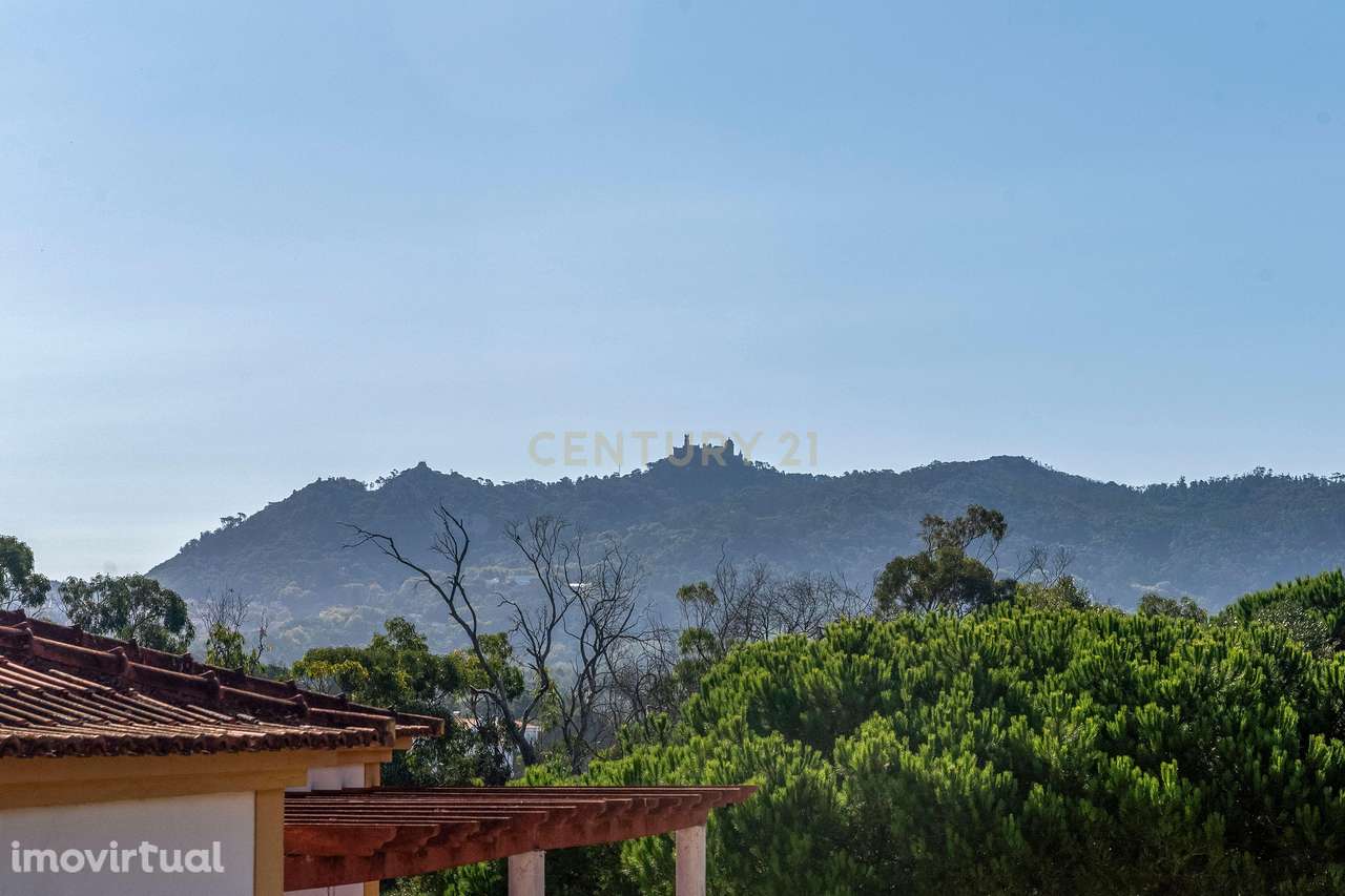Casa rústica à venda em Sintra para quem procura tranquilidade - Grande imagem: 2/36