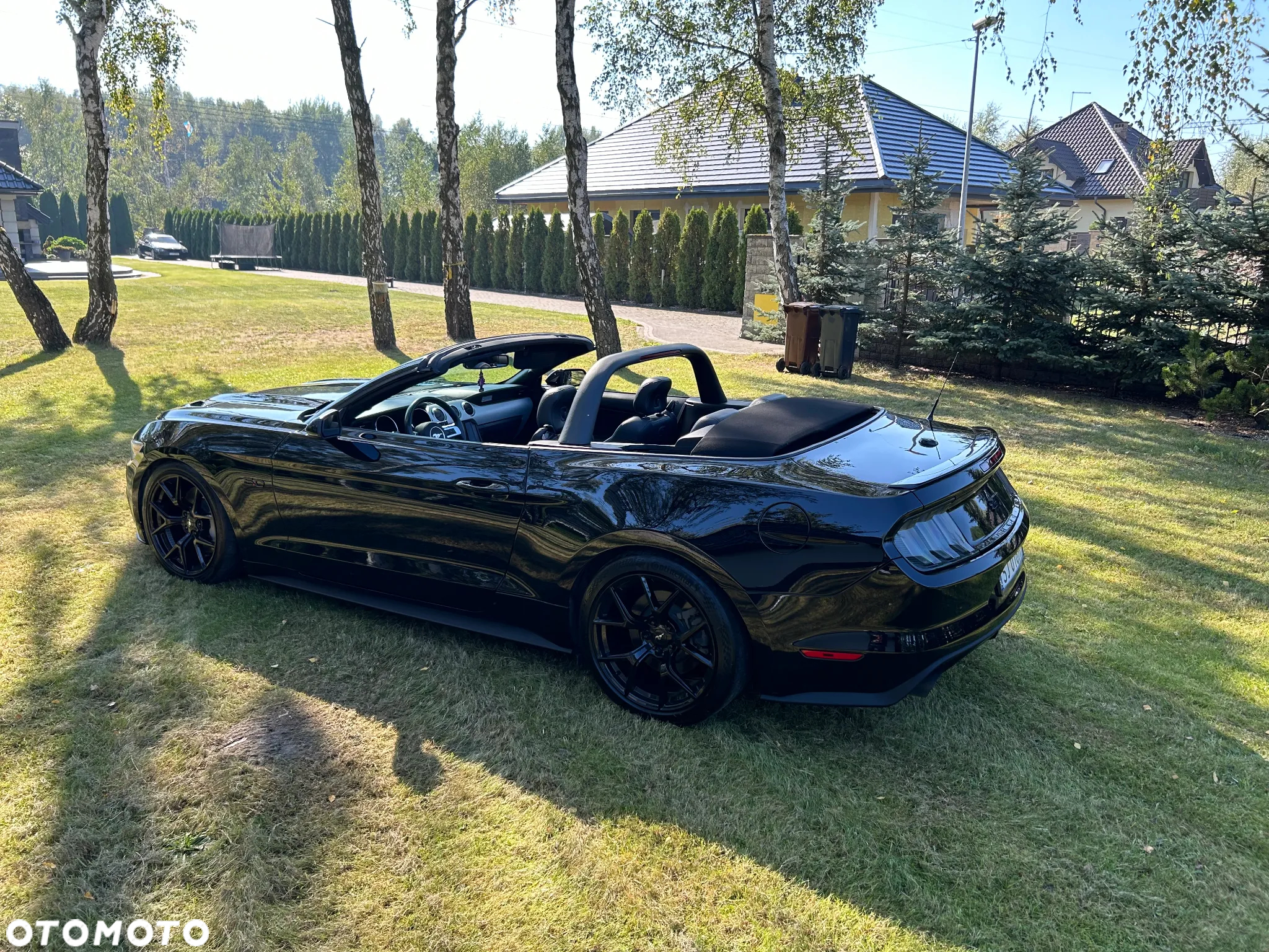 Ford Mustang - 14