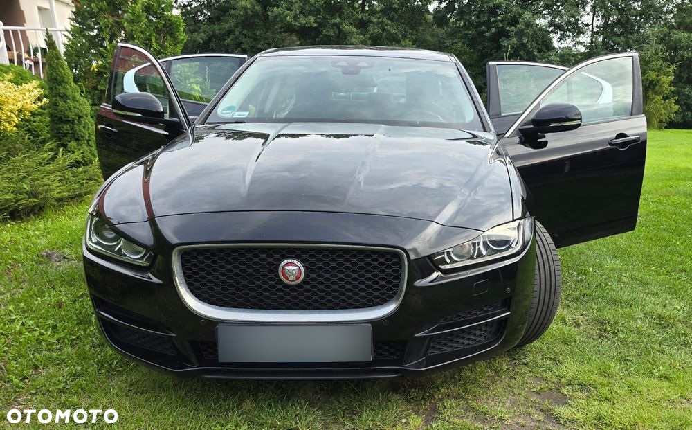 Jaguar XE - 7