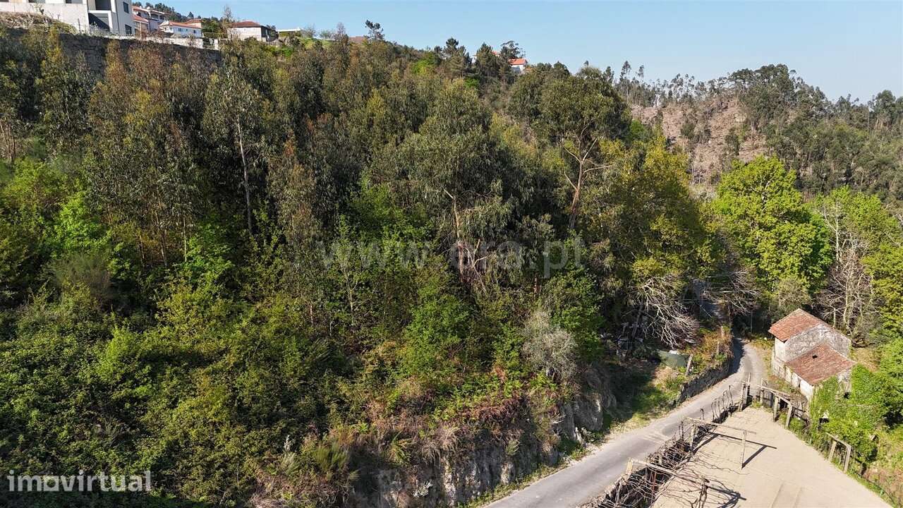 Terreno / Penafiel, Abragão - Grande imagem: 5/16