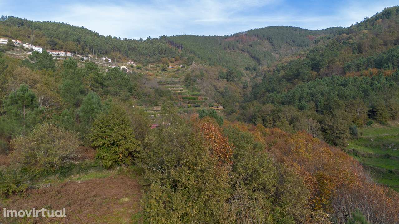 Terreno  Venda em Ansiães,Amarante - Grande imagem: 3/10