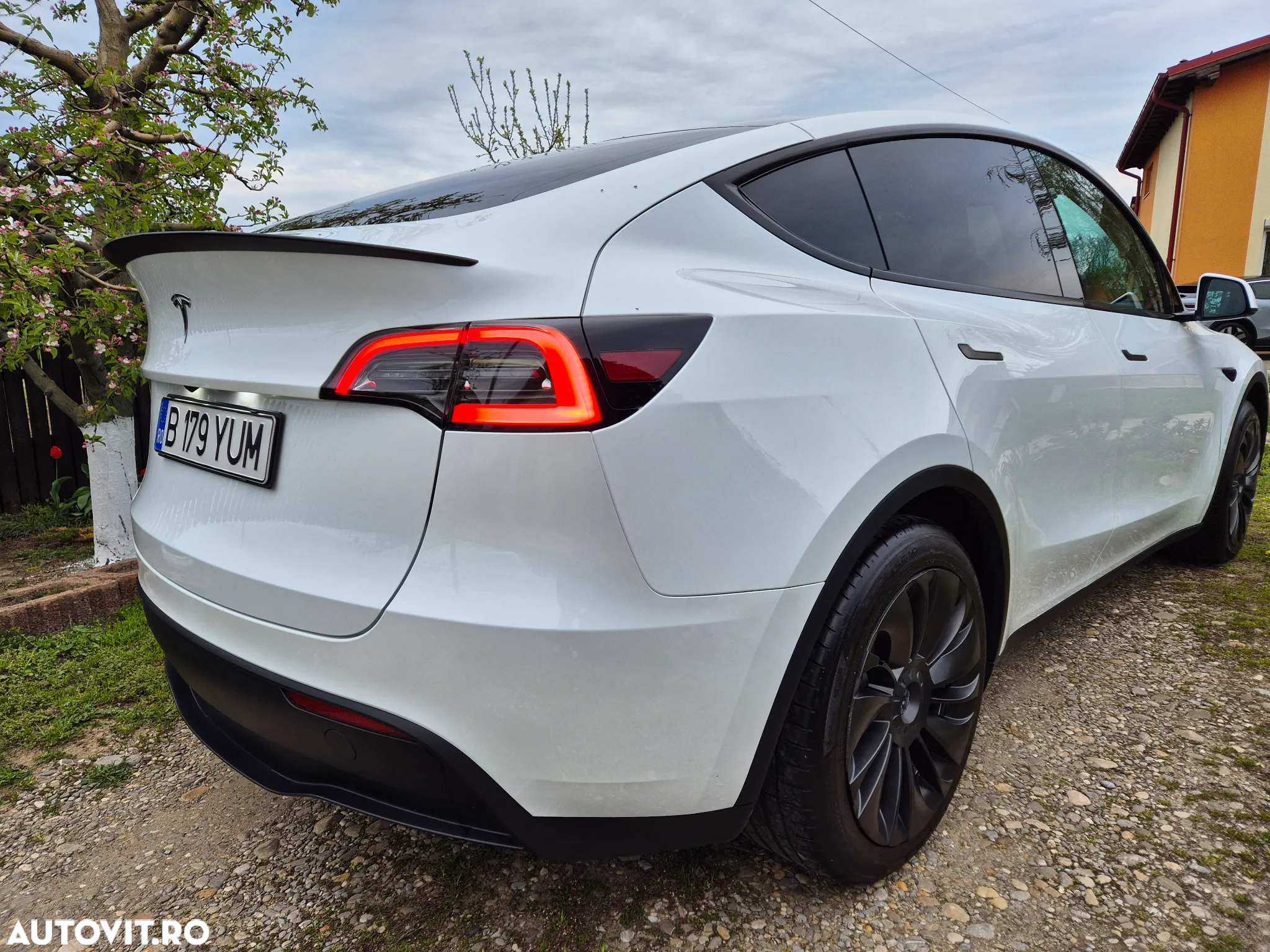 Tesla Model Y - 12
