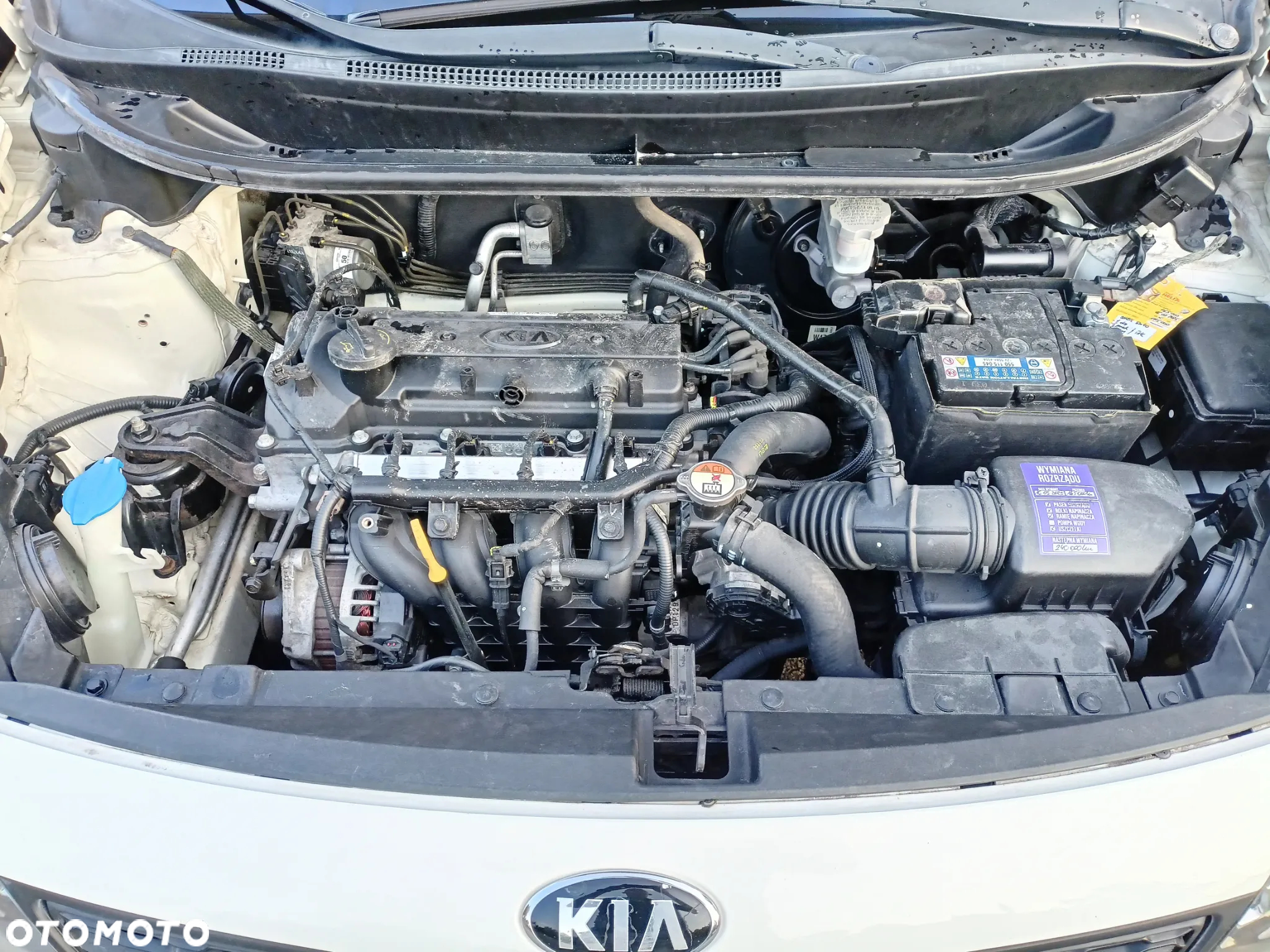 Kia Rio - 15