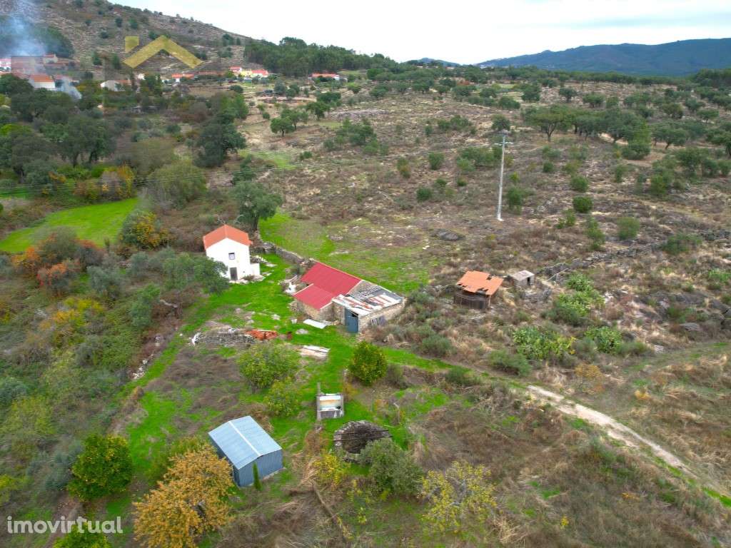 Quinta perto de Monsanto - Grande imagem: 4/37