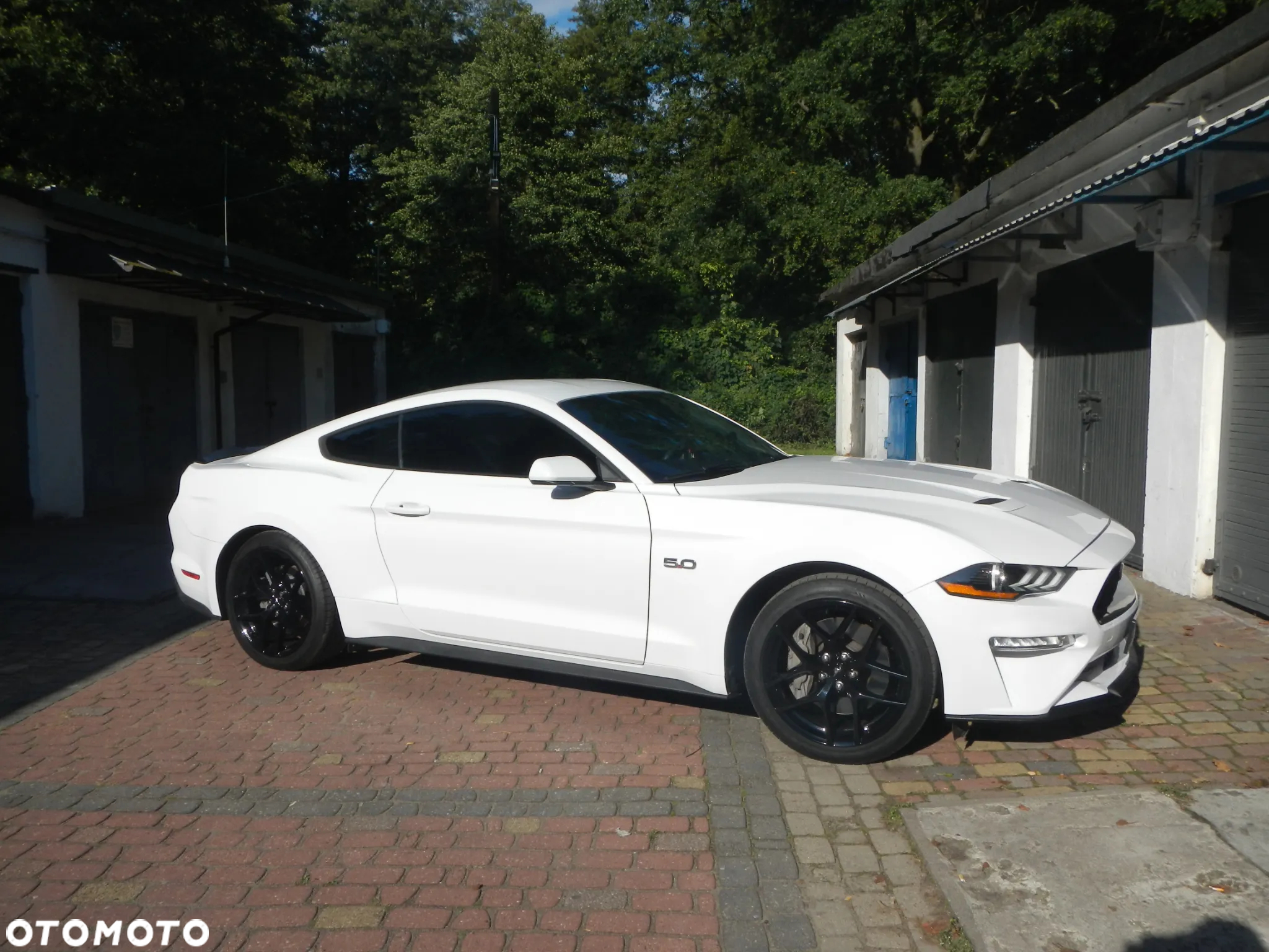 Ford Mustang - 14