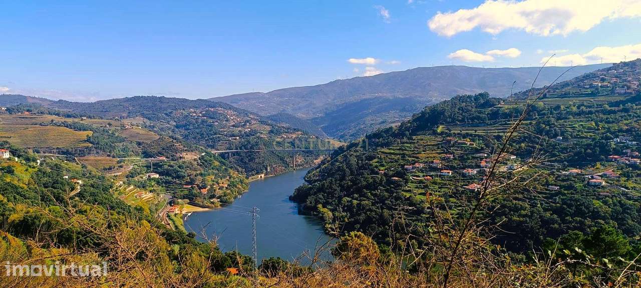 Terreno de uso múltiplo: agrícola e florestal em Santa Marinha do Zêze - Grande imagem: 2/32