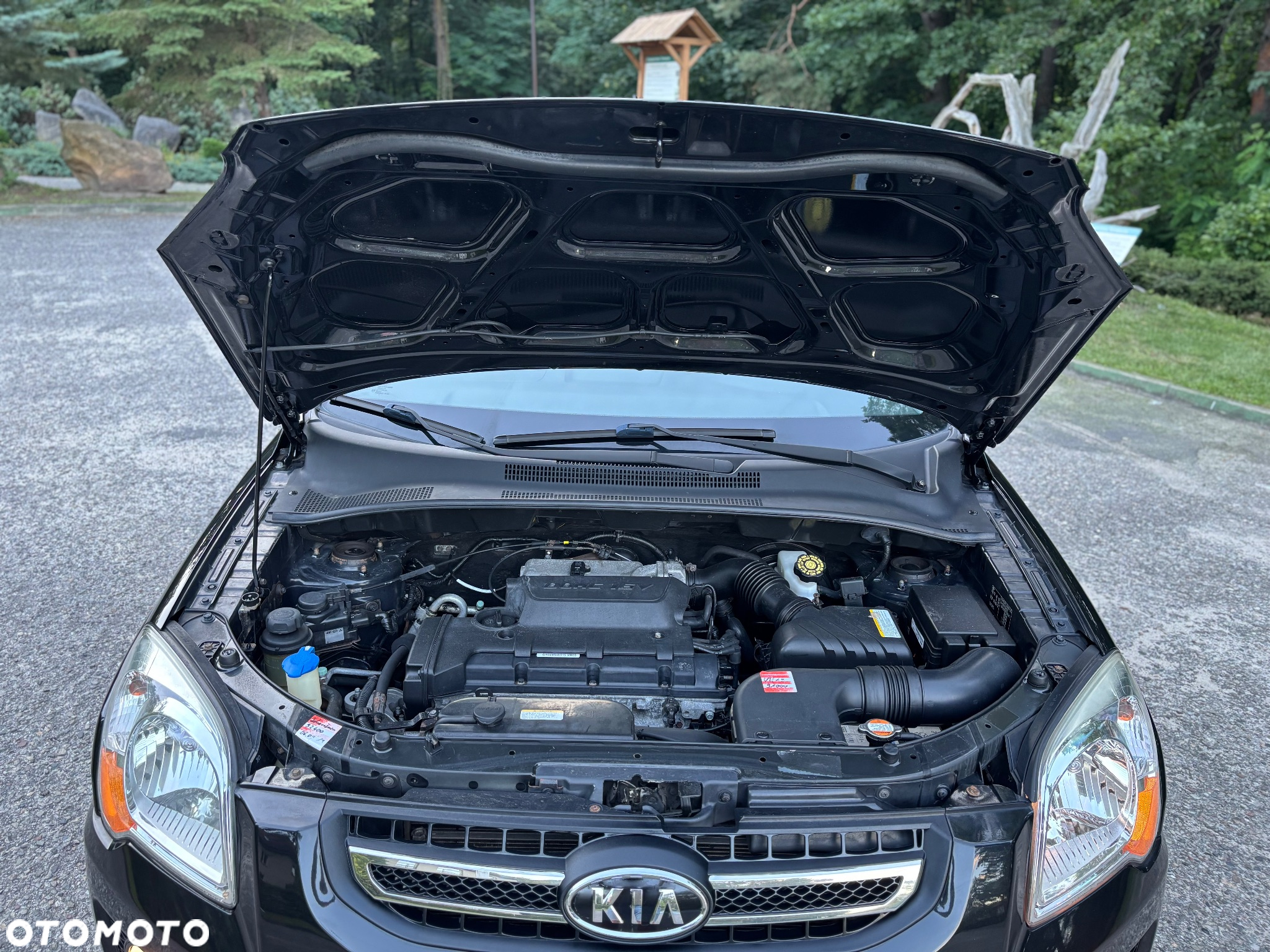 Kia Sportage - 14