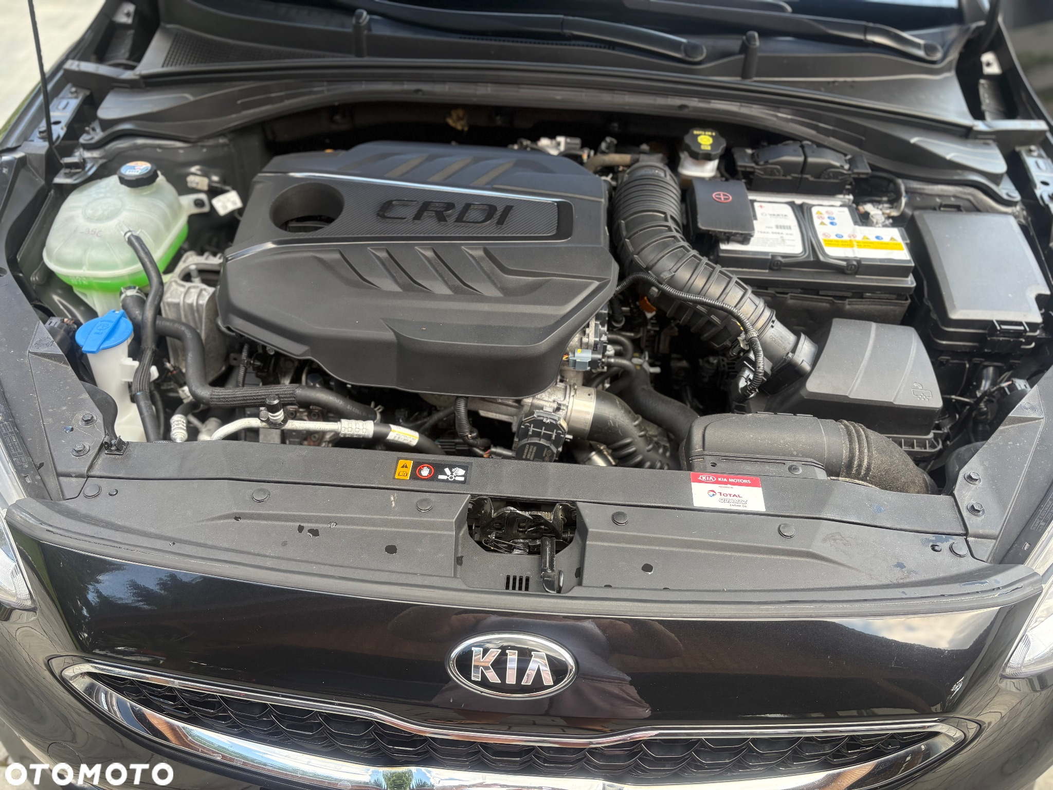 Kia Ceed - 32