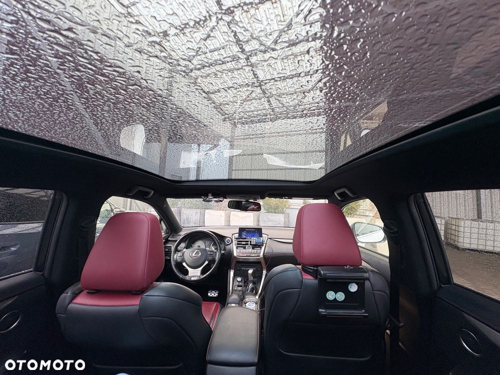 Lexus NX 300h F Sport Edition AWD - 14
