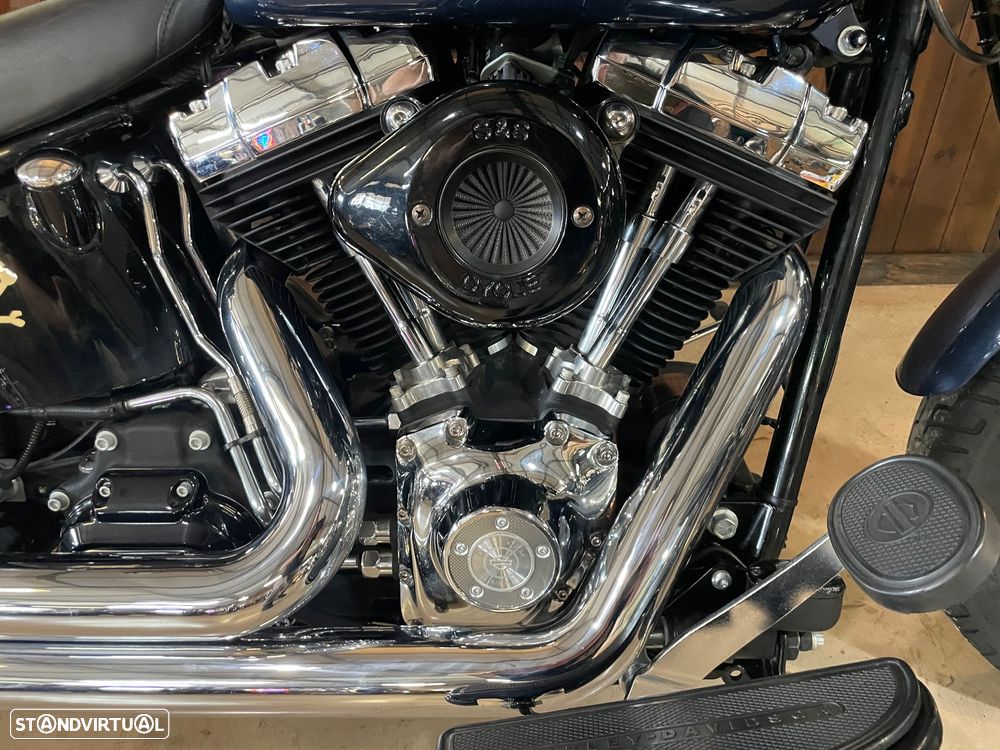 Harley-Davidson FLSTS Crossbones - 4