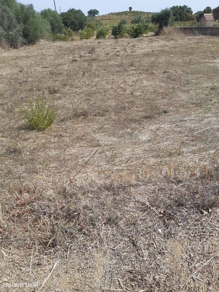 terreno misto - Grande imagem: 2/2